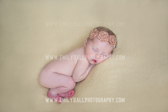 Emily Hall Photography - Willow-4952