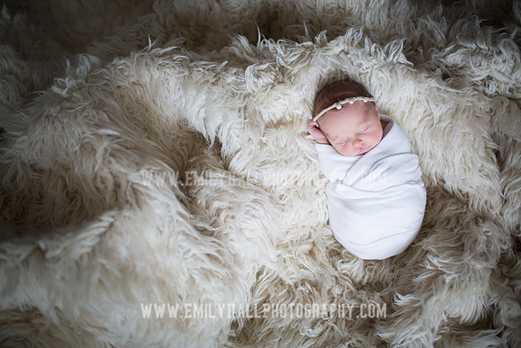 Emily Hall Photography - Willow-4830