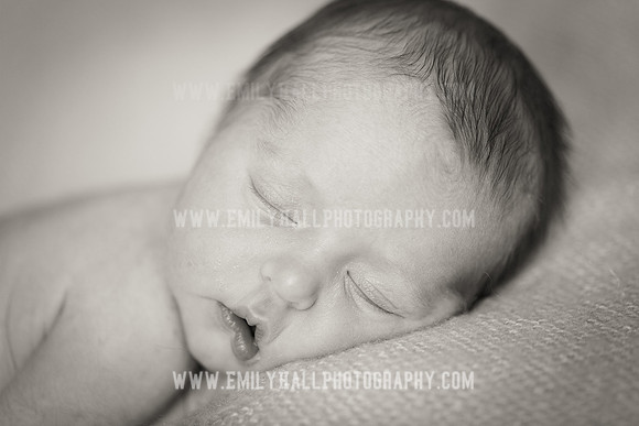 Emily Hall Photography - Willow-4945-2