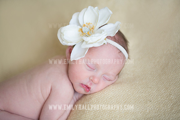 Emily Hall Photography - Willow-4968