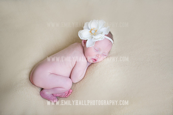 Emily Hall Photography - Willow-4967