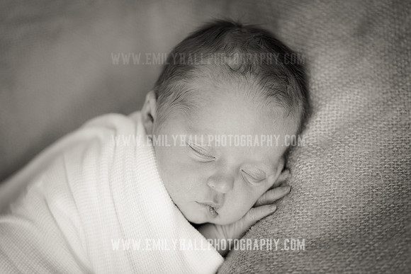 Emily Hall Photography - Willow-4921-2