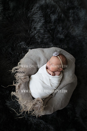 Emily Hall Photography - Willow-4880
