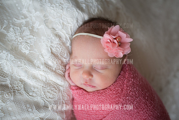 Emily Hall Photography - Willow-4806
