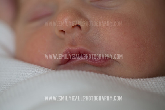 Emily Hall Photography - Willow-4844