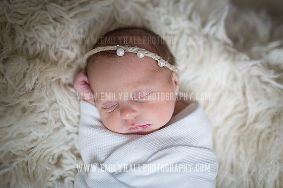 Emily Hall Photography - Willow-4834