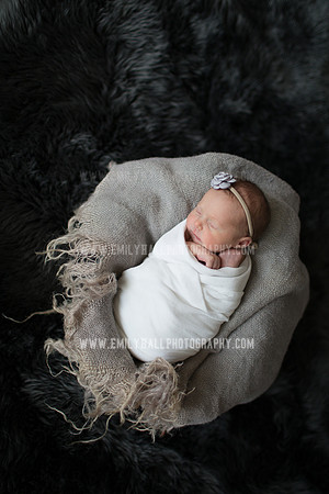 Emily Hall Photography - Willow-4881