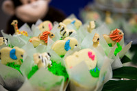 Emily Hall Photography - Birthday Party!-7358