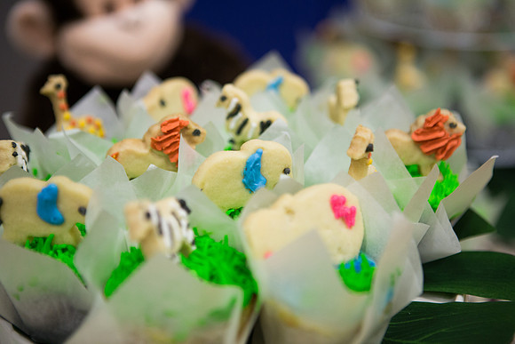 Emily Hall Photography - Birthday Party!-7358