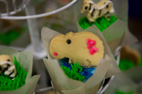 Emily Hall Photography - Birthday Party!-7360