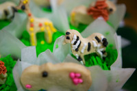 Emily Hall Photography - Birthday Party!-7361