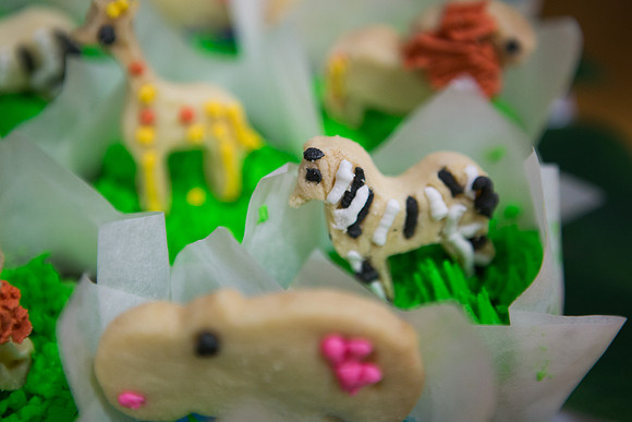 Emily Hall Photography - Birthday Party!-7361