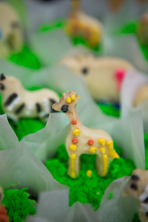 Emily Hall Photography - Birthday Party!-7362