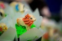 Emily Hall Photography - Birthday Party!-7363