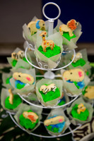 Emily Hall Photography - Birthday Party!-7359