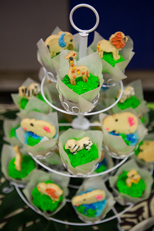 Emily Hall Photography - Birthday Party!-7359