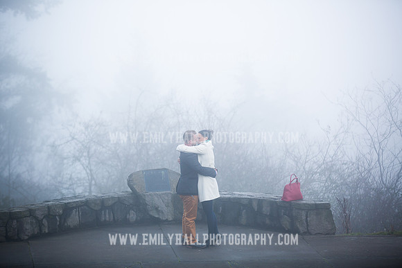 Emily Hall Photography - Wedding Proposal-4691