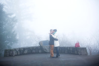 Emily Hall Photography - Wedding Proposal-4696