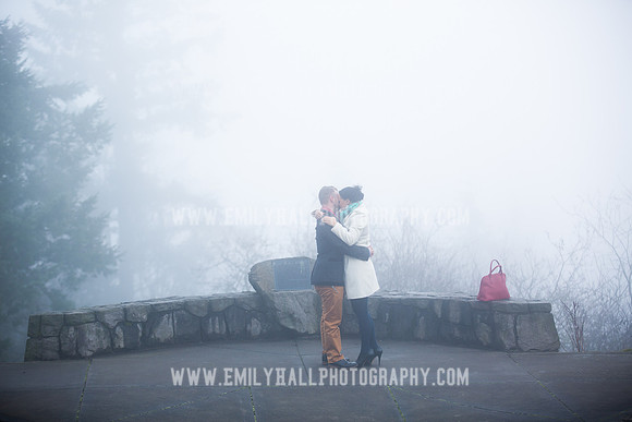Emily Hall Photography - Wedding Proposal-4696