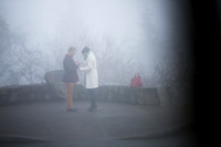 Emily Hall Photography - Wedding Proposal-4673
