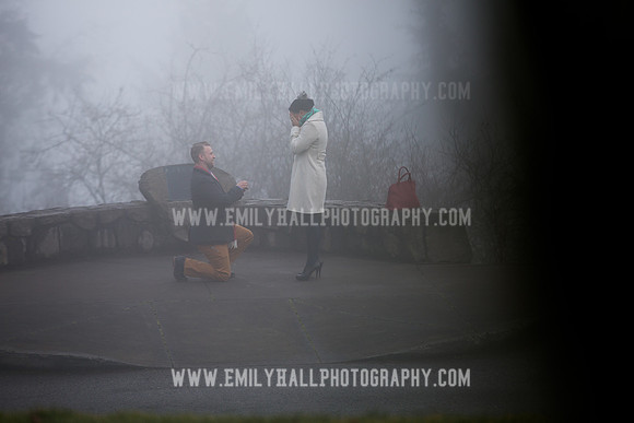 Emily Hall Photography - Wedding Proposal-4666