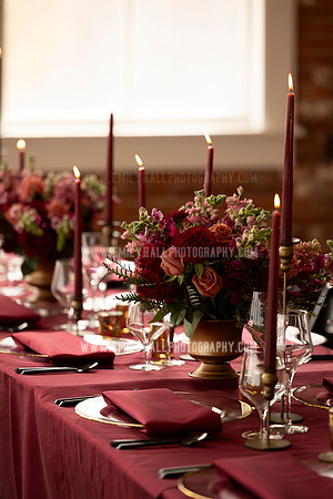 EmilyHallPhoto-0028