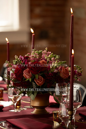 EmilyHallPhoto-0029