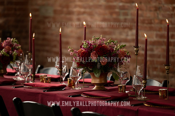 EmilyHallPhoto-0037
