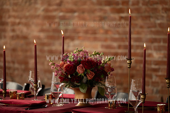 EmilyHallPhoto-0034