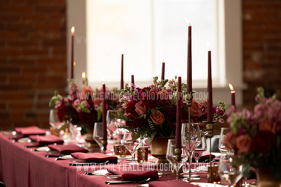 EmilyHallPhoto-0041