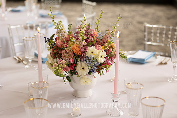 EmilyHallPhoto-0058