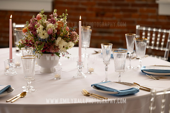 EmilyHallPhoto-0060