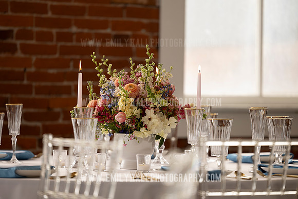 EmilyHallPhoto-0064
