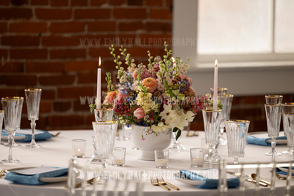 EmilyHallPhoto-0063