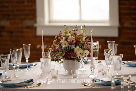 EmilyHallPhoto-0071
