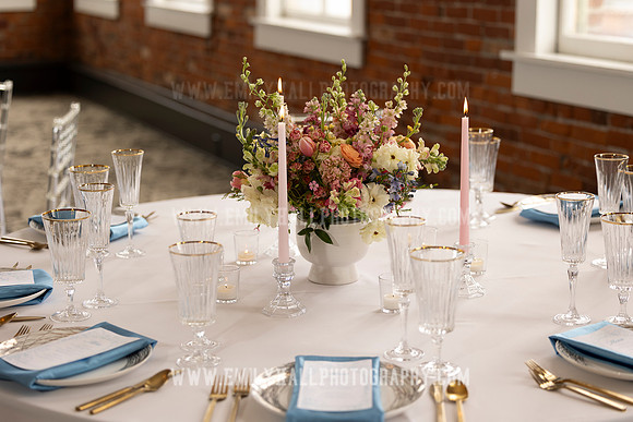 EmilyHallPhoto-0075
