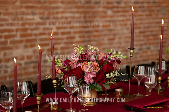 EmilyHallPhoto-0076