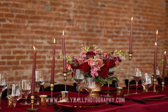EmilyHallPhoto-0077