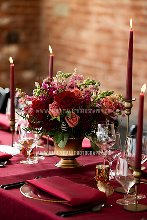 EmilyHallPhoto-0084