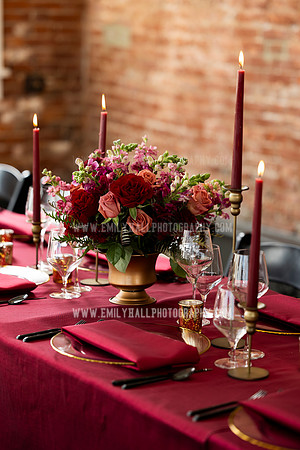 EmilyHallPhoto-0085