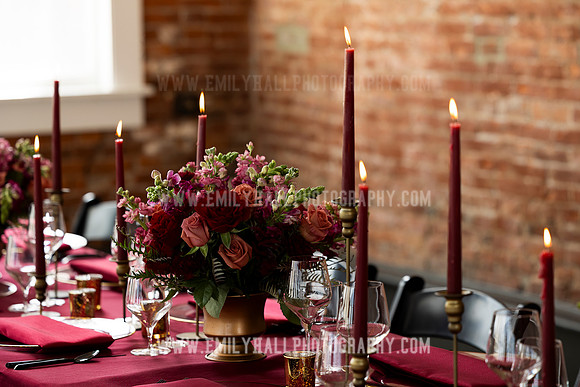 EmilyHallPhoto-0091