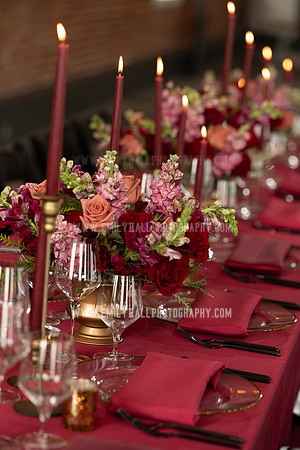 EmilyHallPhoto-0119