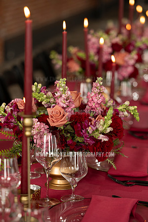 EmilyHallPhoto-0118