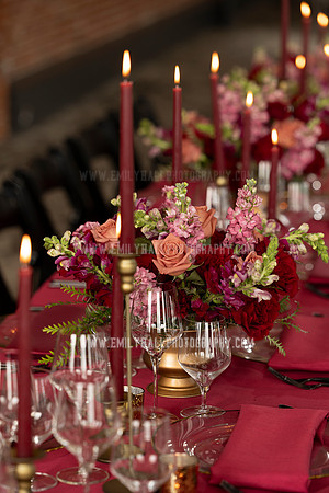 EmilyHallPhoto-0120