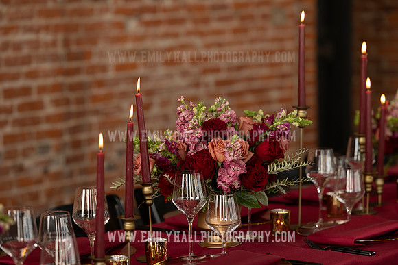 EmilyHallPhoto-0125