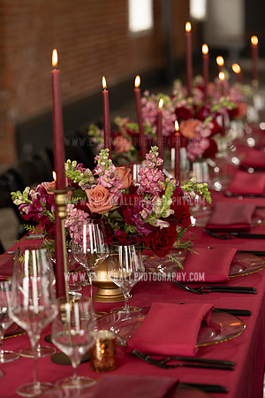 EmilyHallPhoto-0124