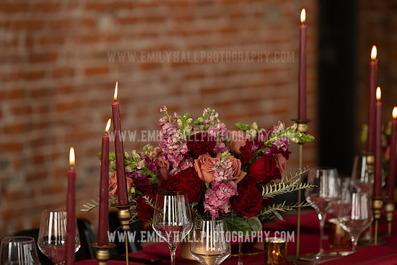 EmilyHallPhoto-0126