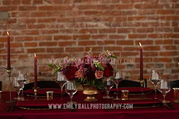 EmilyHallPhoto-0131
