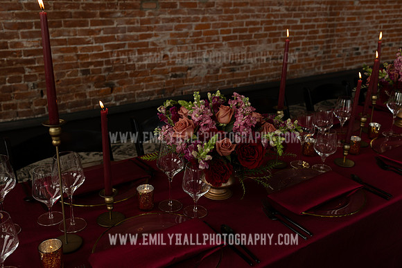 EmilyHallPhoto-0205