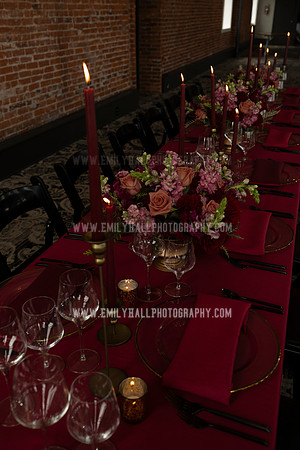 EmilyHallPhoto-0207